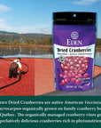 Eden Organic Dried Cranberries Sweetened with Apple Juice 4 oz