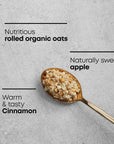 Nature's Path Organic Apple Cinnamon Instant Oatmeal, 48 Packets, Non-GMO, 35g Whole Grains, 5g Plant Based Protein