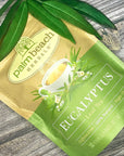 Eucalyptus Leaf Tea  Pure Herbal Tea Series by Palm Beach Herbal Tea Company 30 Tea Bags 100 Natural