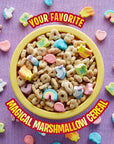 General Mills Lucky Charms Marshmallow Clusters Breakfast Cereal, 17.6oz