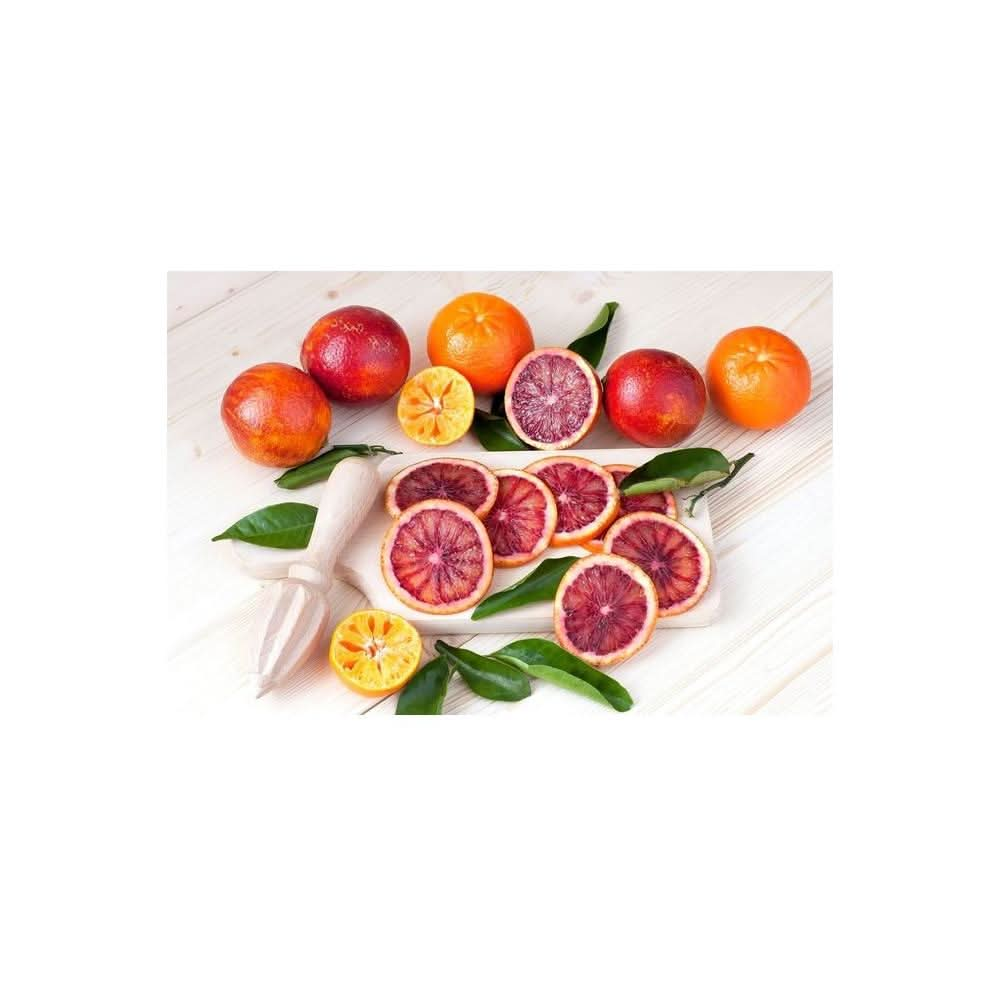 A Siciliana Italian Soda Sicilian Blood Orange Soda 115 Ounce Pack of 4 with 4 Pieces Mints 1 Grocery Restock Card by IntFeast - Whlsome - Drinks & Beverages