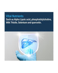 Advanced Bionutritionals Advanced Liver Support Supplement, Milk Thistle, Manufactured in the USA, 120 Tablets - Whlsome - Sports Nutrition